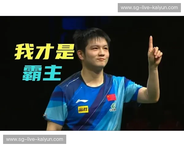 乒乓球世界杯录像:追溯乒乓荣耀,感受巅峰对决